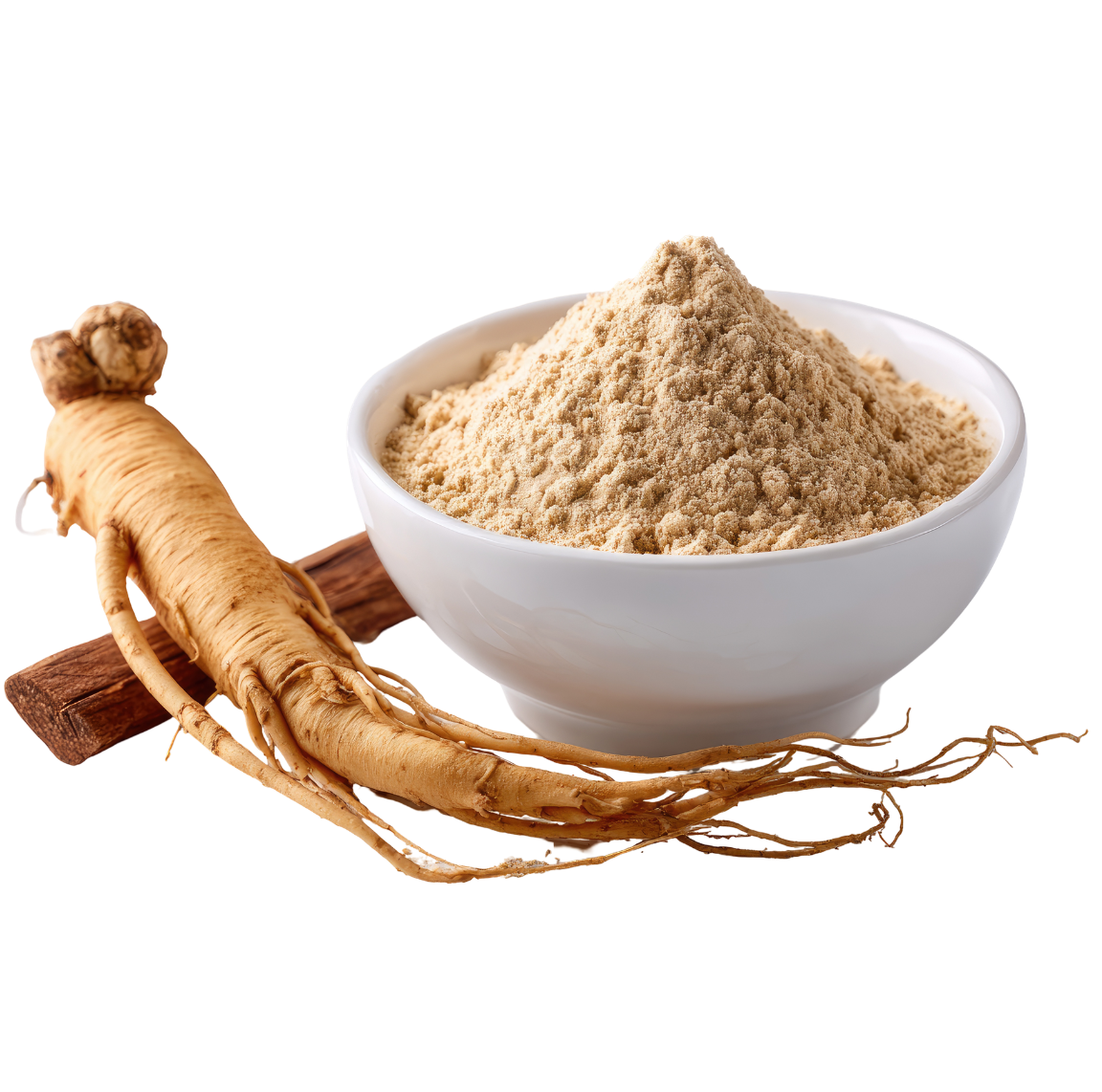 オタネニンジン